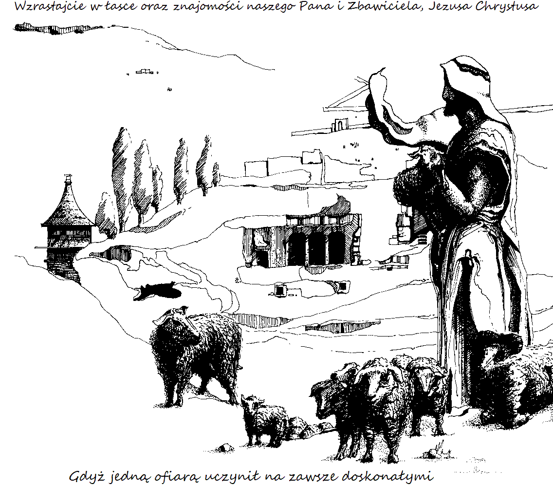 Nowa Biblia Gdańska